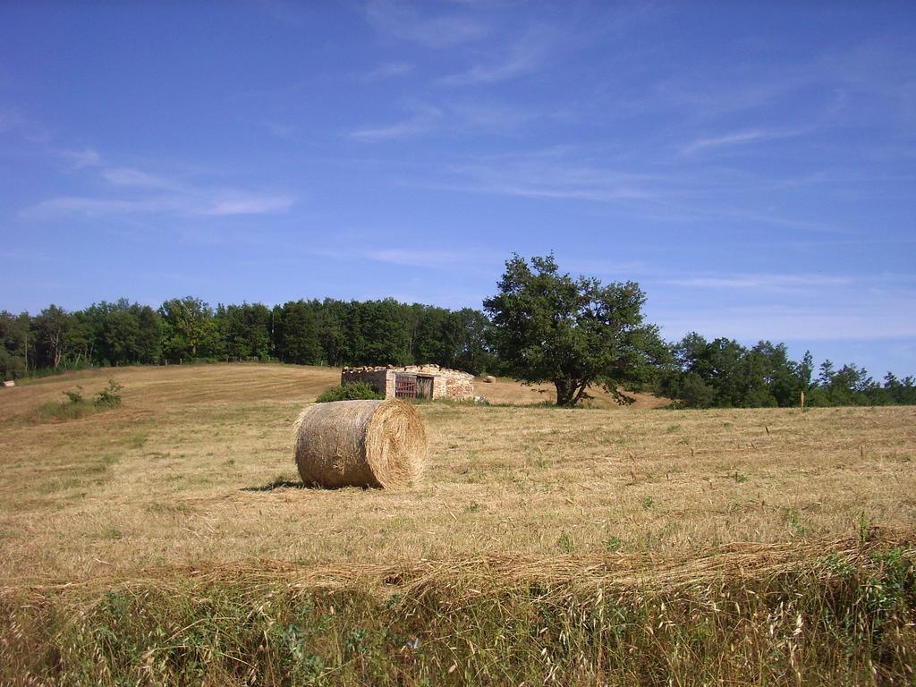 Agriturismo Bio Le Macchie Alte Manciano Buitenkant foto