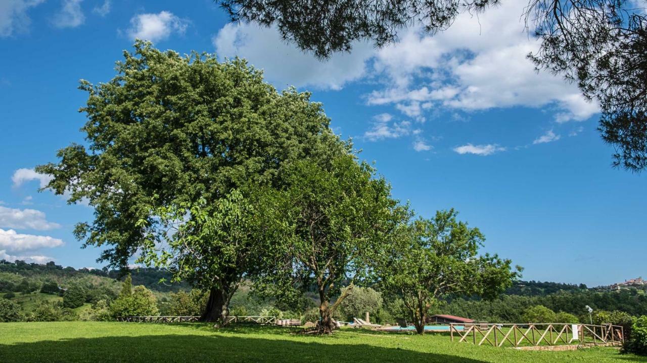 Agriturismo Bio Le Macchie Alte Manciano Buitenkant foto